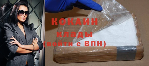 дурь Няндома