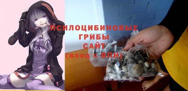 первитин Новозыбков
