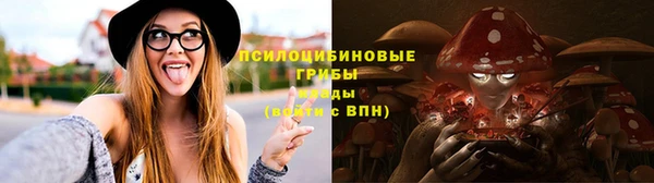 дурь Няндома