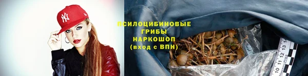 дурь Няндома