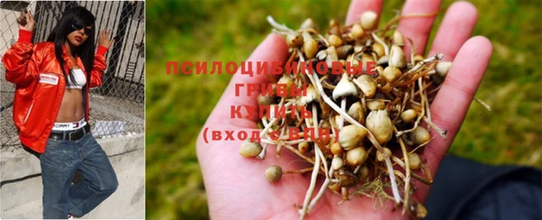 круглые Новодвинск