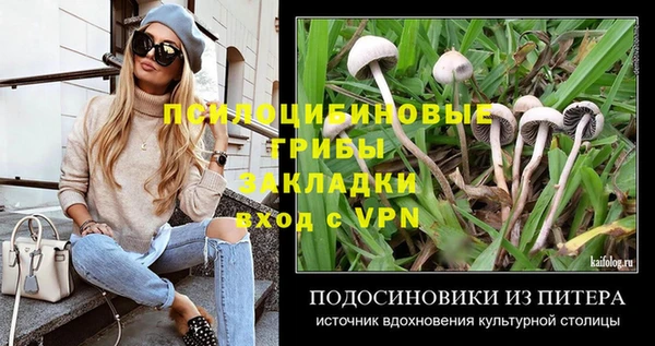 первитин Новозыбков