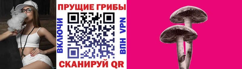 Галлюциногенные грибы MAGIC MUSHROOMS  Райчихинск 
